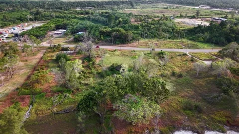 Aerial view of green fields, roads, and distant trees 库存影片 333033255