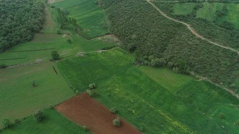 Aerial view of green fields in spring time Stock Footage 102173827