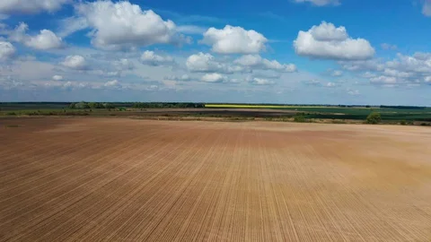 Aerial view of green fields in spring. Beautiful spring rural landscape Vídeos de archivo 129909049
