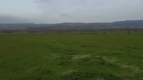 Aerial View. Green fields, spring. Agriculture 動画素材 152999345