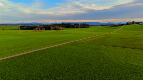 Aerial view of green fields in spring, Bavaria, Germany, showcasing sown crops Stock Footage 318977900