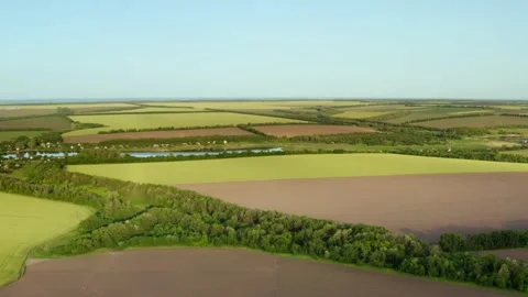 Aerial view on green fields on a summer sunny day. Stock Footage 133584335