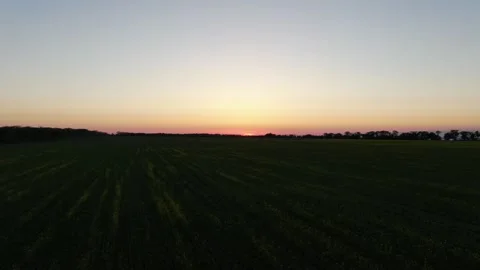 Aerial view of green fields at sunset on sea background in Krasnodar region Stock Footage 314928757