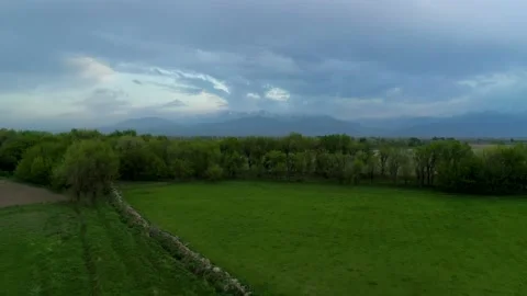 Aerial view of the green fields  surrounded by the trees. Kokpak, Kazakhstan Stock Footage 146510853