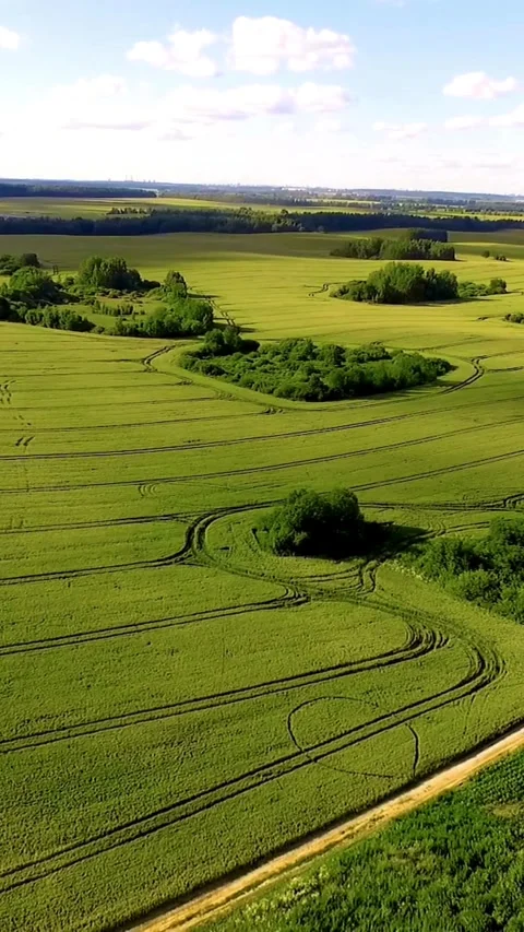 Aerial view of green fields with tractor track patterns Stock Footage 334169383