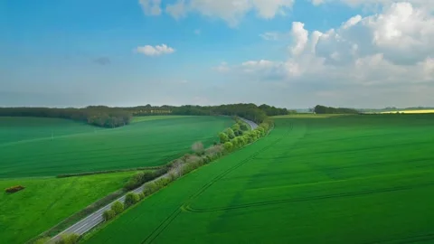 Aerial view of green fields under a bright blue sky Stock-Footage 346852538