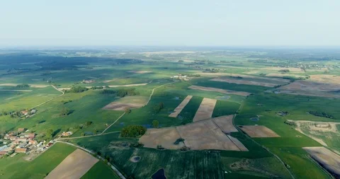 Aerial view of green fields of wheat 스톡 동영상 99554669