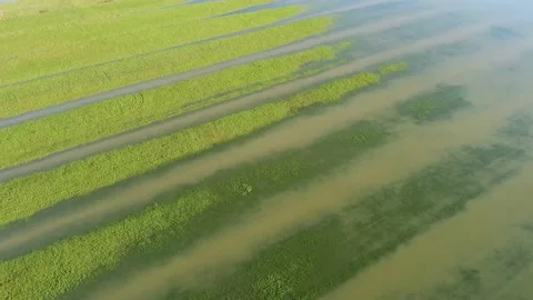 Aerial view of green flooded fields in italy 스톡 동영상 147879378