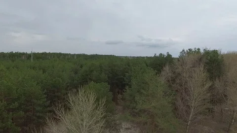 Aerial View of Green Forest. Stock Footage 75093045