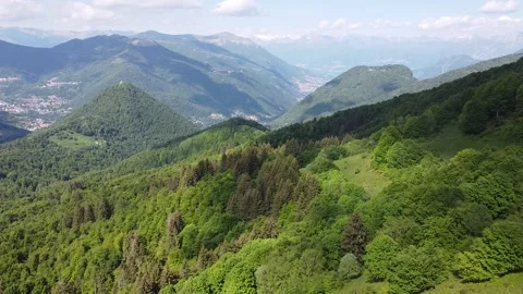 Aerial view of a green forest Stock Footage 155026666