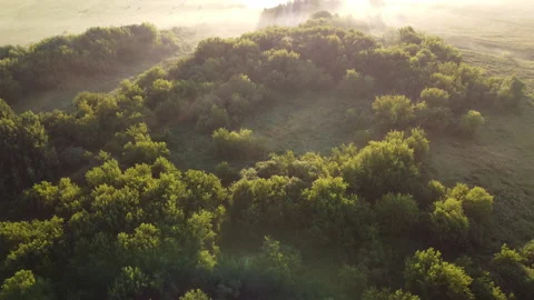 Aerial view of the green forest Stock Footage 171143299
