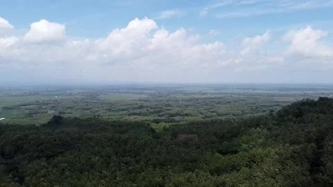 Aerial view of a green forest landscape and deforested land Stock-Footage 279251353