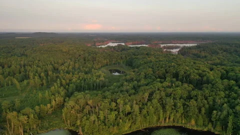 Aerial view of green forest in state Michigan at sunset. Flying over trees Stock Footage 158557688