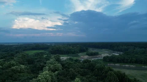 Aerial view of green forest tree canopy against blue sky and clouds Stock Footage 342352800