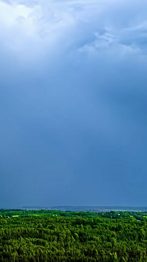 Aerial view of green forest under deep blue sky, Latvia. Stock Footage 341484991