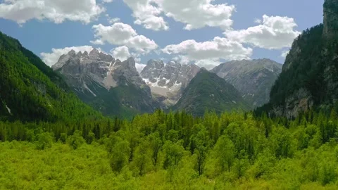 Aerial View of Green Forest Valley and Snowy Alpine Peaks Stock-Footage 341645358
