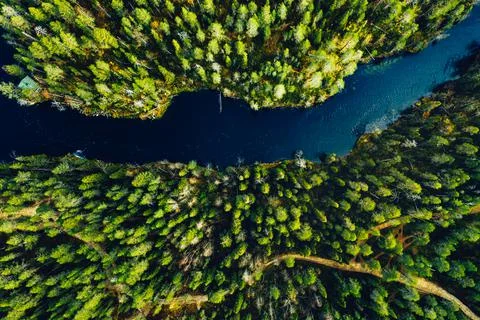 https://images.pond5.com/aerial-view-green-forests-and-photo-153121147_iconl_nowm.jpeg