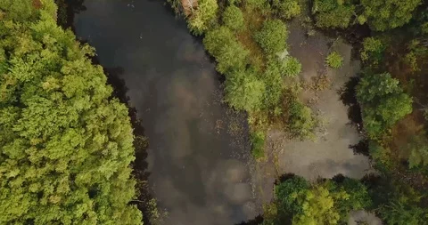 Aerial view of green German forest and lake Stock Footage 95777423