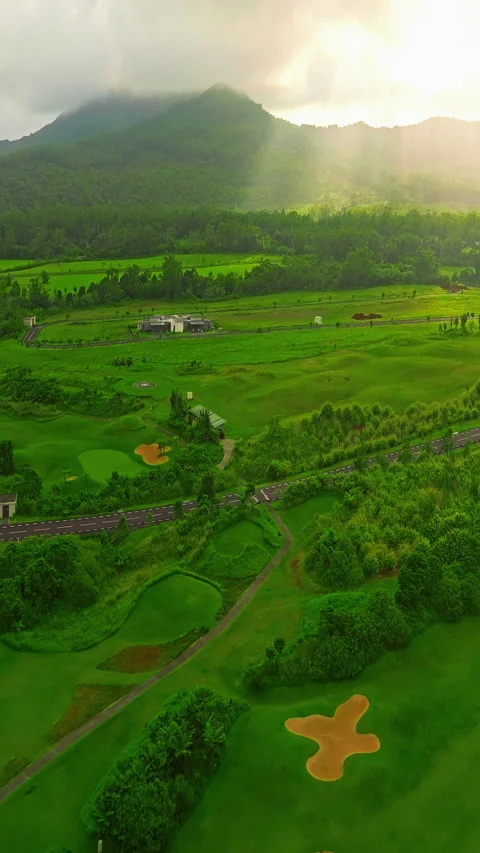 Aerial view of a green golf course on a sunny day on tropical island. Active 库存影片 343481532