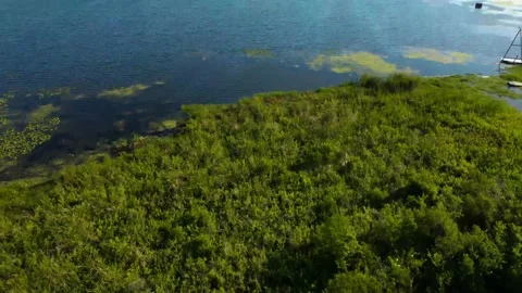 Aerial view of green grass and trees at it pans up to a lake Stock Footage 239488635