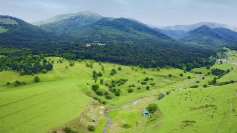 Aerial view of green grass field surrounded by beautiful mountains in Armenia Stock Footage 248312446