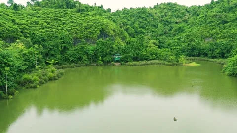 Aerial view of a green lake surrounded by dense tropical rainforest with a small Stock Footage 323929124