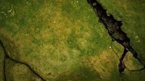 Aerial view of green landscape in Faroe Islands 動画素材 163013053