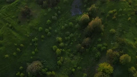 Aerial view of the green landscape Stock Footage 199970554