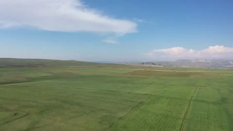 Aerial view of green large fields Stock Footage 293965535