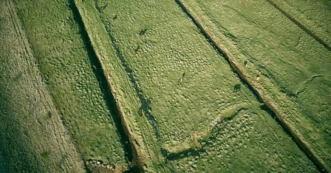 Aerial view of the green lava fields and wild horses in Iceland. Beautiful Stock Footage 76686146