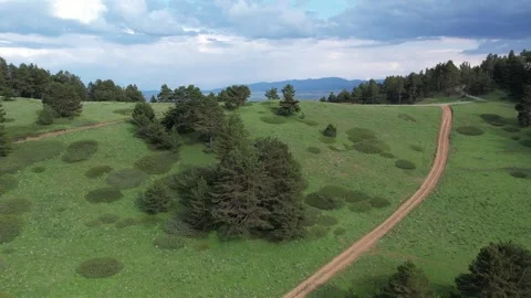 Aerial view of green meadows trees and mountain road Stock Footage 294084749