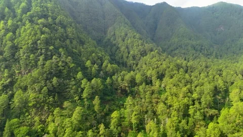 Aerial View of Green Mountain Forest Stock Footage 346722918