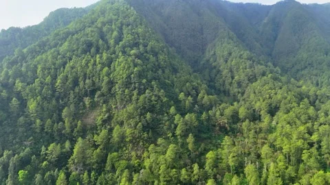 Aerial View of Green Mountain Forest Stock Footage 346722949