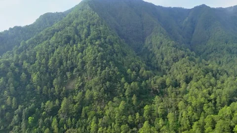 Aerial View of Green Mountain Forest Stock Footage 346722979
