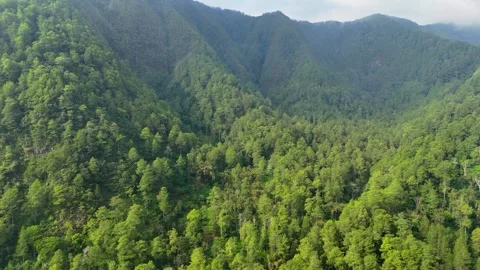 Aerial View of Green Mountain Forest Stock Footage 346722980