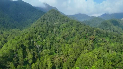 Aerial View of Green Mountain Forest Stock Footage 346723023