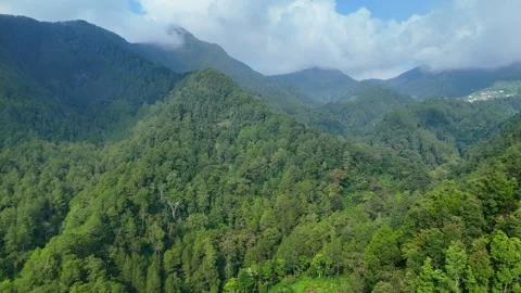 Aerial View of Green Mountain Forest Stock Footage 346723078