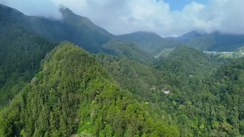Aerial View of Green Mountain Forest Stock Footage 346723082