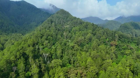 Aerial View of Green Mountain Forest Stock Footage 346723657