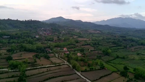 Aerial view of a green mountain full of trees Stock Footage 291430103