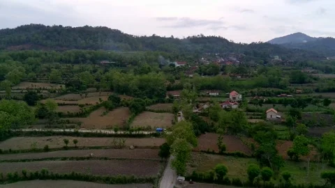 Aerial view of a green mountain full of trees Stock Footage 291430554