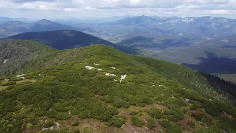 Aerial View of Green Mountain Ridge with Alpine Pine on a Sunny Summer Day Stock Footage 342925089