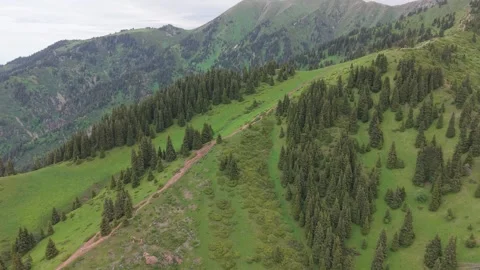 Aerial view of green mountain slopes and forest Stock Footage 345387486