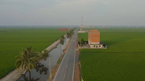 Aerial view of green paddy fields located in Sekinchan, Malaysia Stock Footage 117048429