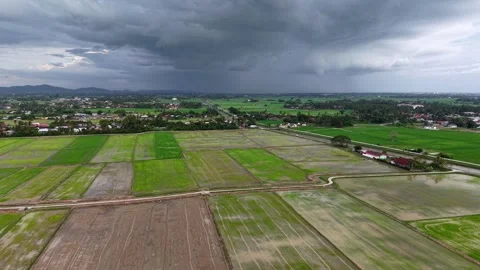 Aerial view of green paddy fields before storm 스톡 동영상 329348582