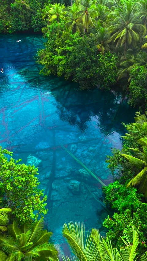 Aerial view of green palm trees surrounding a clear blue lake with men and Stock Footage 346050394