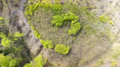 Aerial view of a green patch surrounded by dry land, indicating regeneration in Stock Photos