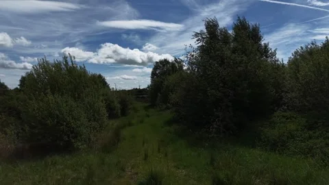 Aerial View of Green Path Through Dense Vegetation Stockbeeldmateriaal 335621881