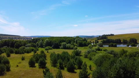 Aerial View Green Pine Forest Deforestation Area Landscape. Top View Of Growing Stock Footage 134288778