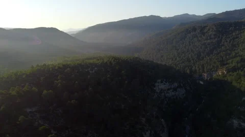 Aerial view of a green pine forest at sunrise Stock-Footage 258324491